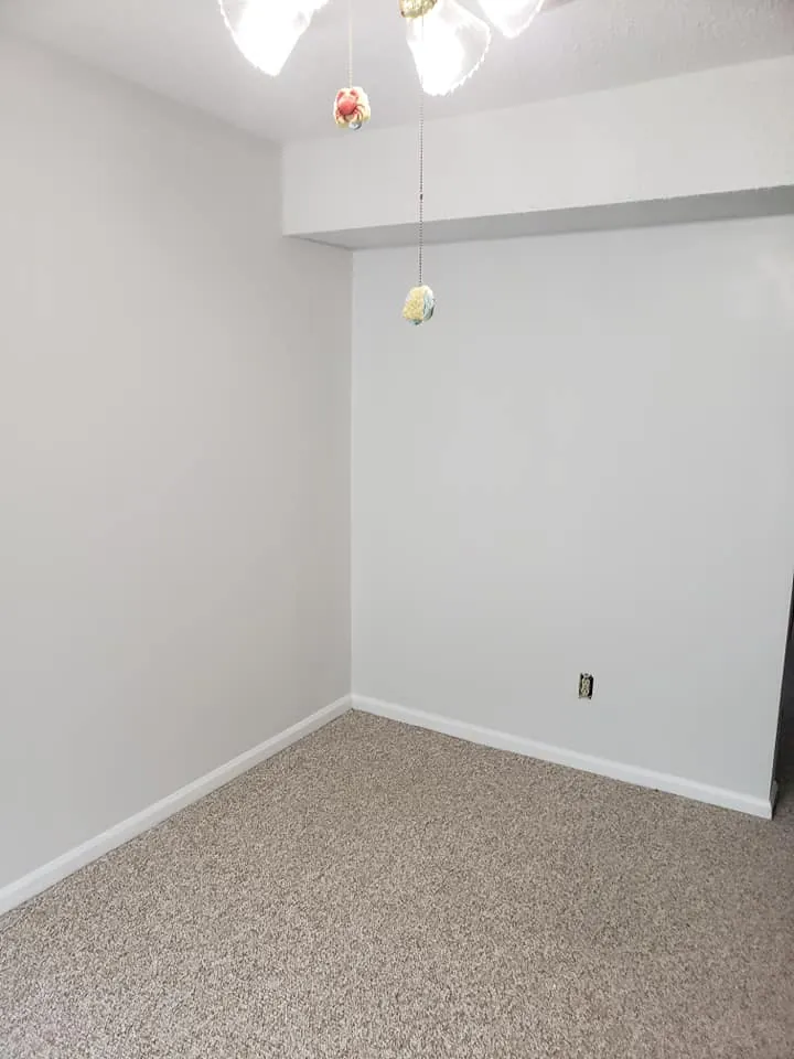 Empty bedroom corner with light gray walls, white baseboard, and beige carpet